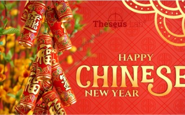 570х315_card_NY_TheseusLab_2020