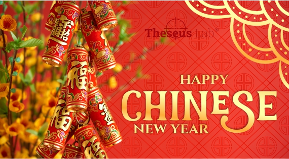 570х315_card_NY_TheseusLab_2020